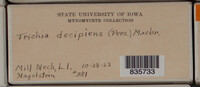 Image Associated With the Occurence